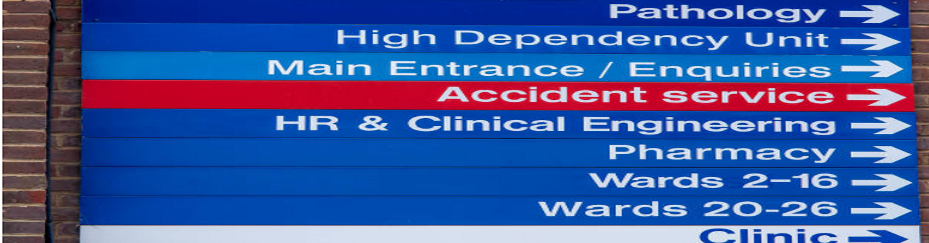 Virtual Simulated Placement 2 – Emergency Department Experience (Adult Nursing (pre-registration) Blended Learning MSc) – Jan 2022 Cohort